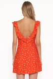 Lacey Mini Dress Red Floral