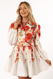 Pipps Long Sleeve Mini Dress Multi