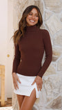 Sammi Turtle Neck Knit Espresso