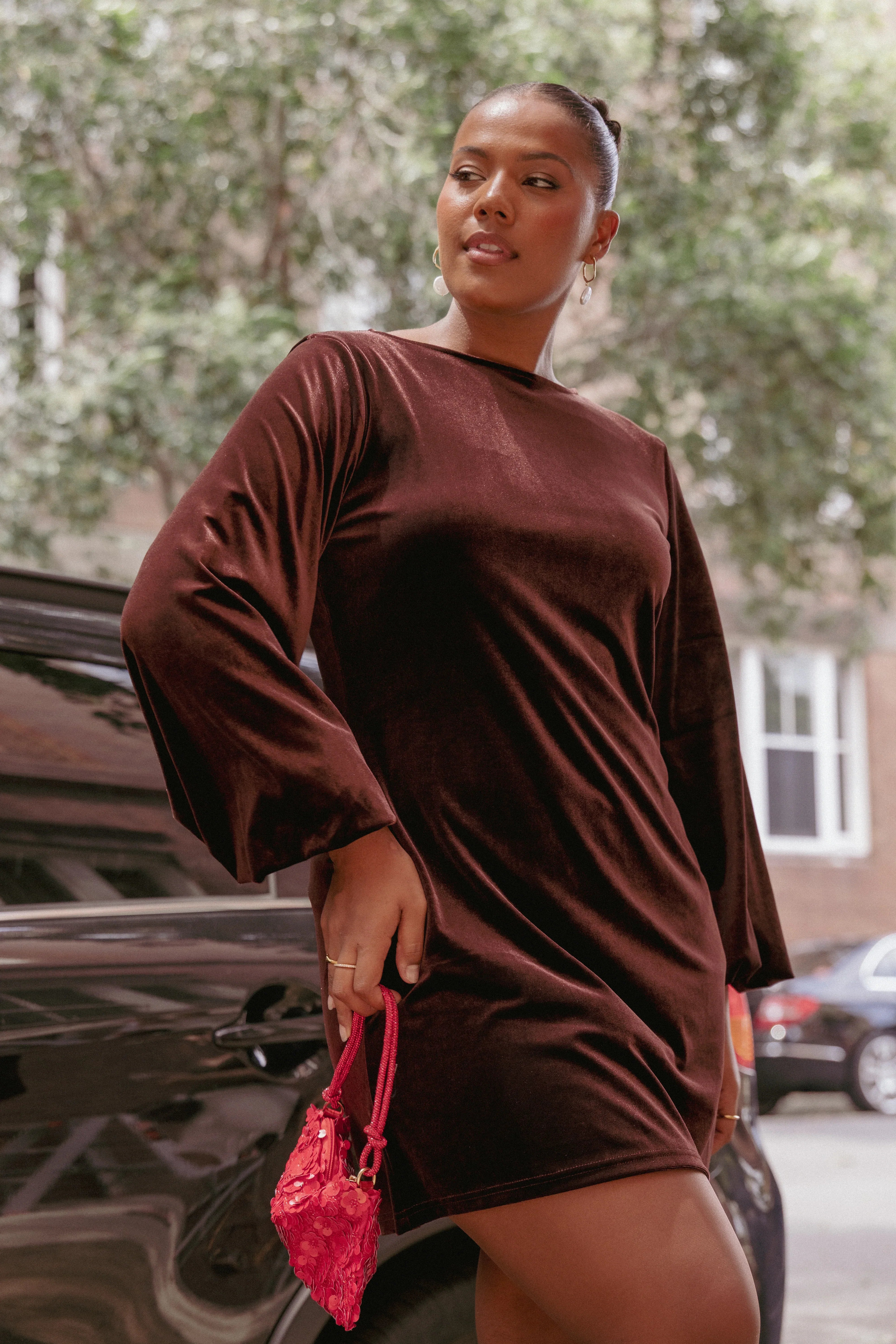Twylar Long Sleeve Velvet Mini Dress Brown