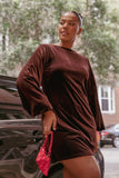 Twylar Long Sleeve Velvet Mini Dress Brown