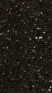 Zinnia Sequins Pant Black