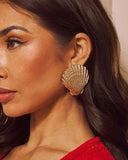 Tropic Cove Textured Seashell Earrings
