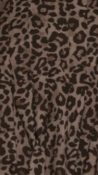 Peyton Button Up Shirt Leopard Print