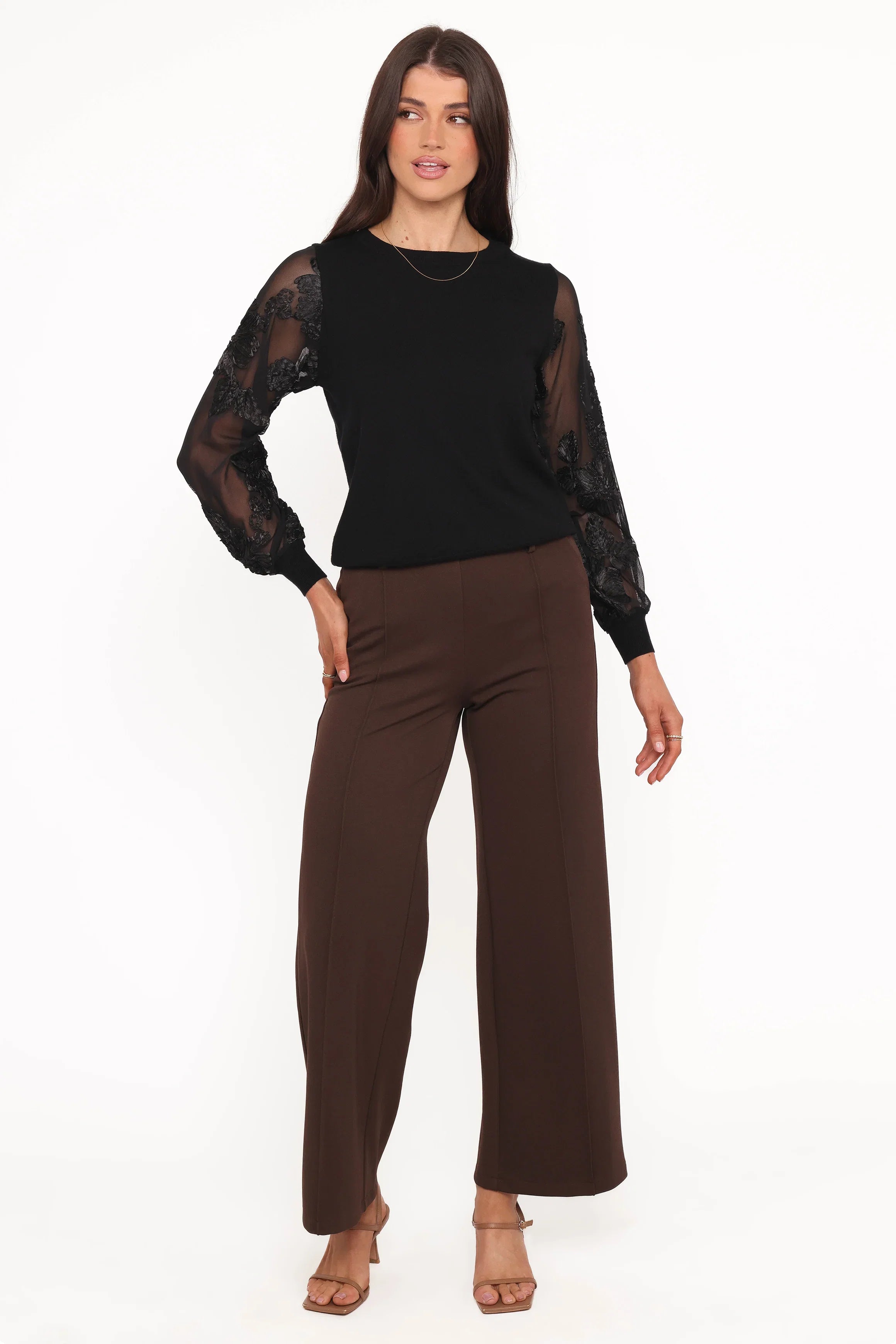 Cailin Sheer Sleeve Top Black