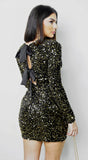 Éloria Velvet Sequin Long Sleeve Mini Dress Black