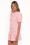 Kaelyn Gather Mini Dress Pink Stripe