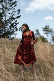 Cece Velvet Long Sleeve Maxi Dress Rust