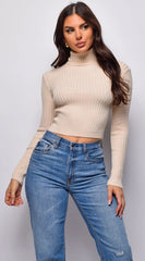 Astraia Basic Turtle Neck Crop Ribbed Sweater Top Beige