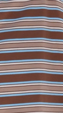 Stevie Crew Neck Tee Chocolate Blue Stripe