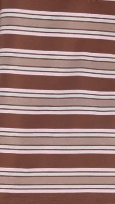 Casey Shorts Chocolate Beige Stripe
