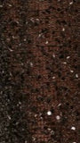 Zinnia Sequins Maxi Dress Black