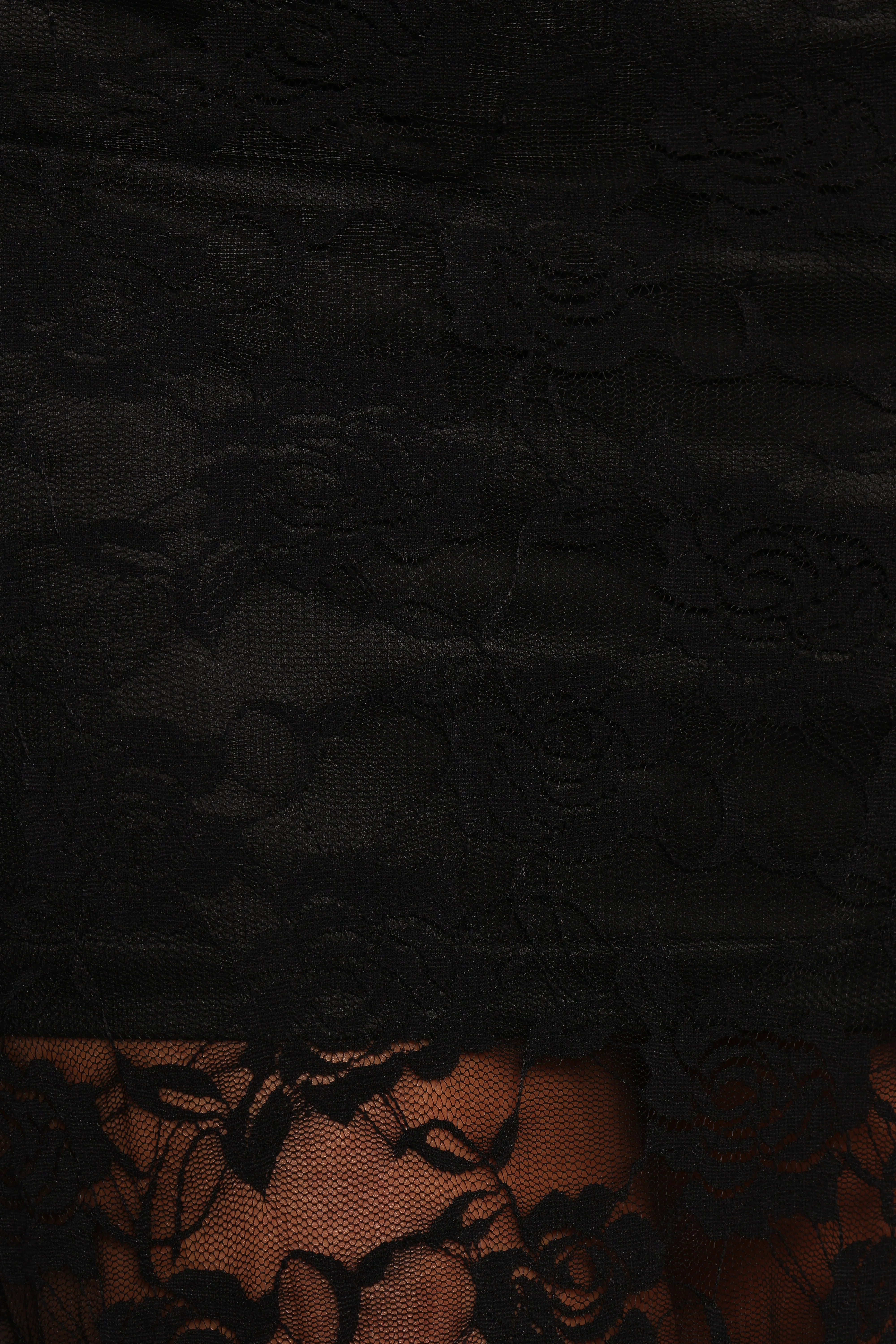 Laken Sheer Lace Maxi Skirt Black