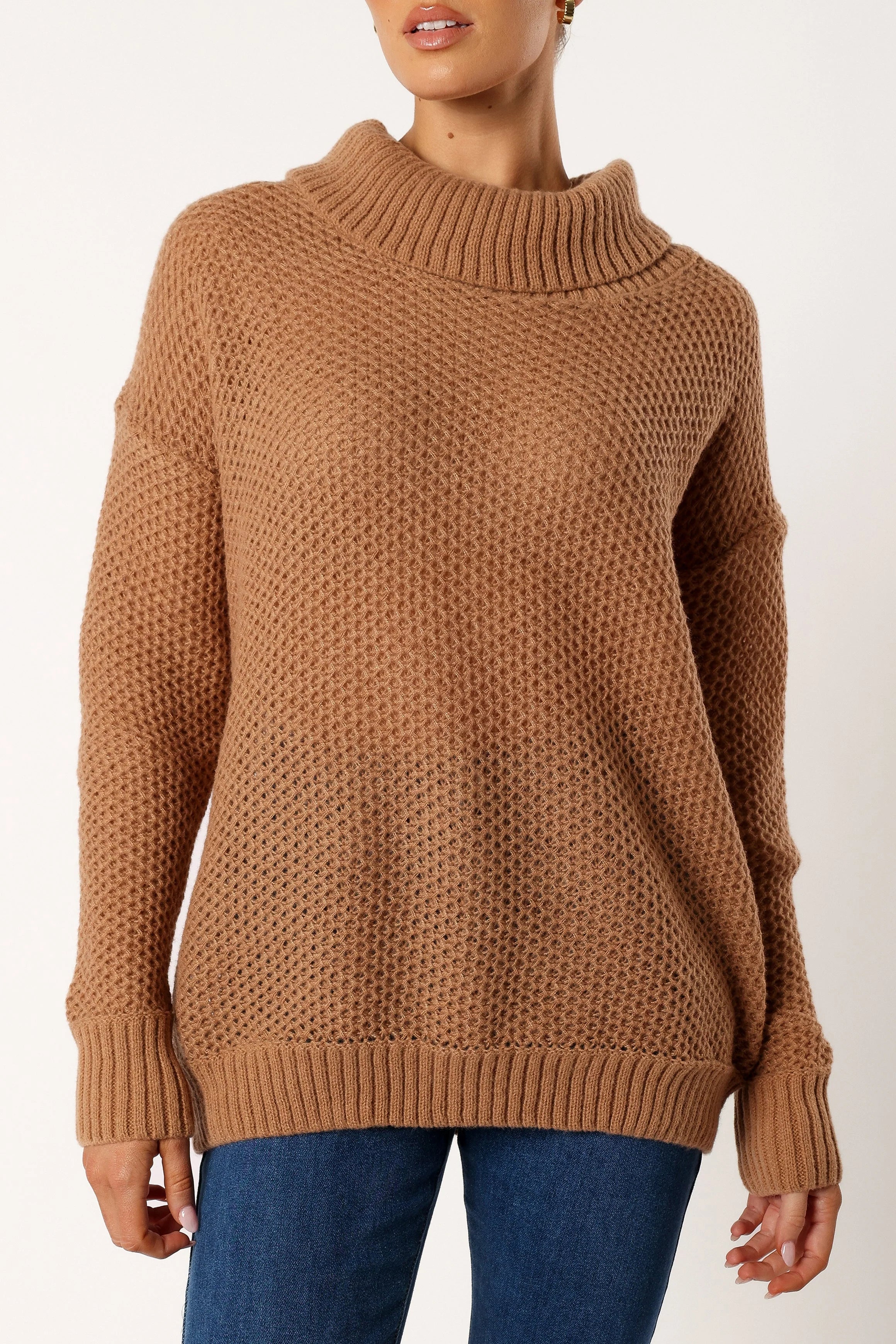 Rayne Turtleneck Knit Sweater Beige