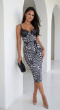 Amber Leopard Print Midi Dress with Lace Trim White